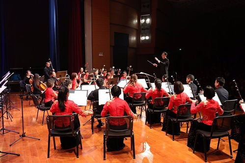 文化金灣丨2017全力推進(jìn)文化強(qiáng)區(qū)建設(shè) 組織文化藝術(shù)交流活動(dòng)