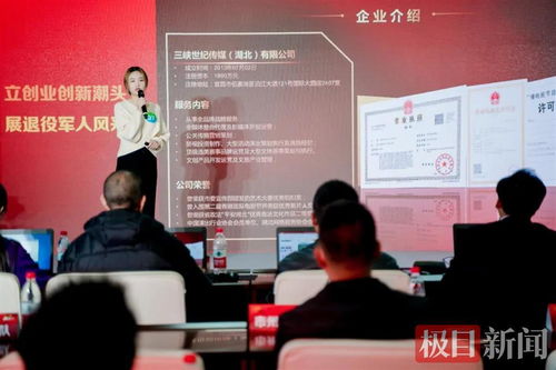 宜昌軍創(chuàng)企業(yè)閃耀“軍創(chuàng)杯”，躋身全省三強(qiáng)并賦能文化藝術(shù)交流